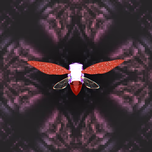Cicadaspuzzleclub