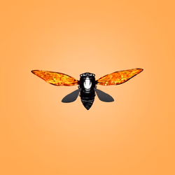 Cicadas #9045