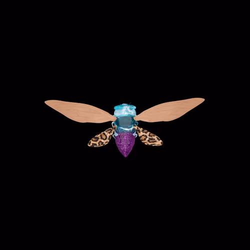 Cicadas #9068