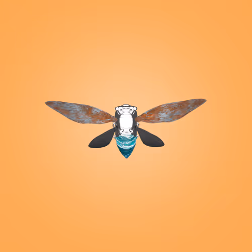 Cicadaspuzzleclub