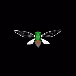 Cicadas #8361
