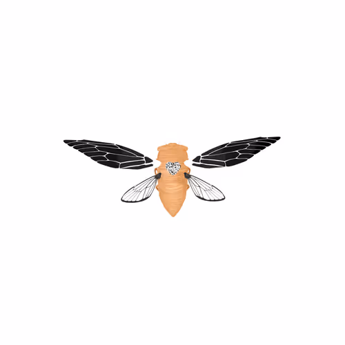 Cicadaspuzzleclub