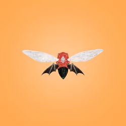 Cicadas #9752