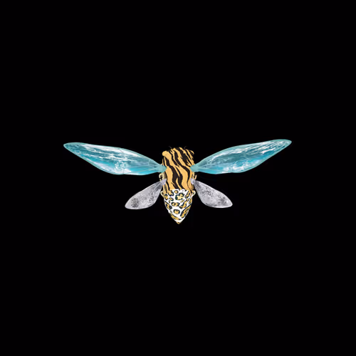 Cicadaspuzzleclub