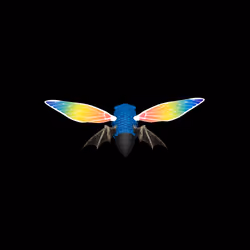 Cicadas #9823
