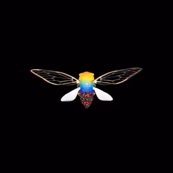 Cicadas #9474