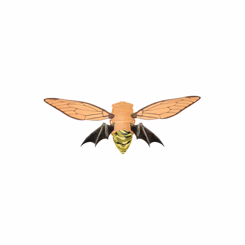 Cicadaspuzzleclub