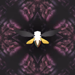 Cicadas #127