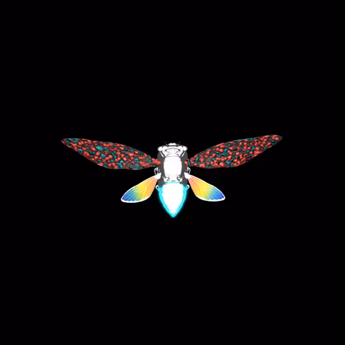 Cicadas #9264