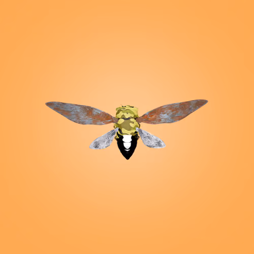 Cicadas #377