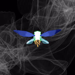 Cicadas #452