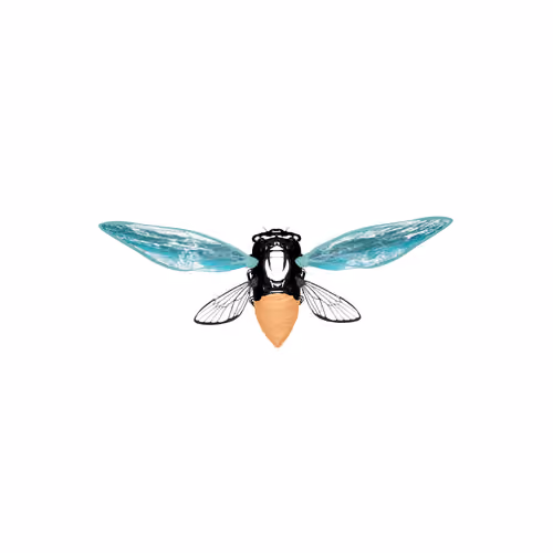 Cicadas #575