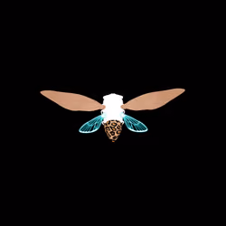 Cicadas #8669