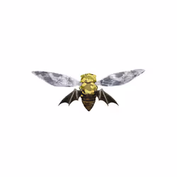 Cicadas #161