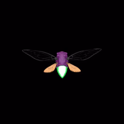 Cicadas #9008