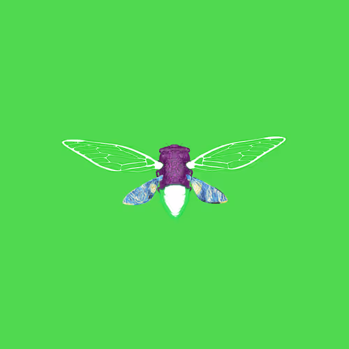 Cicadaspuzzleclub