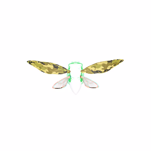 Cicadaspuzzleclub