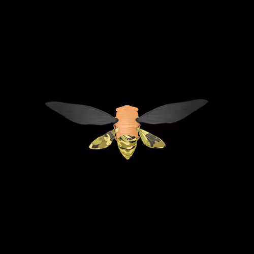 Cicadaspuzzleclub