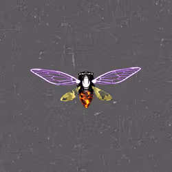 Cicadas #577
