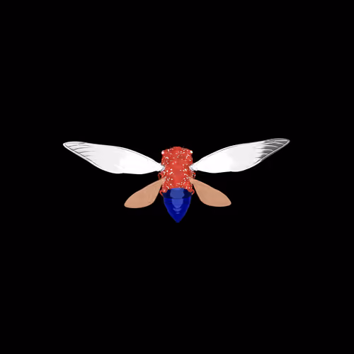 Cicadas #9031