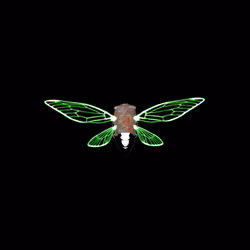 Cicadas #360