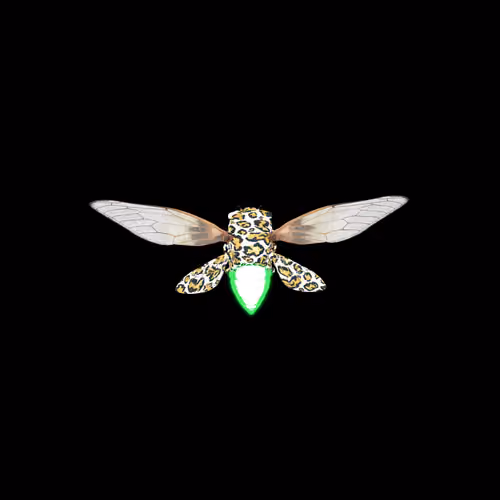 Cicadas #9346