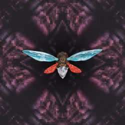 Cicadas #9219