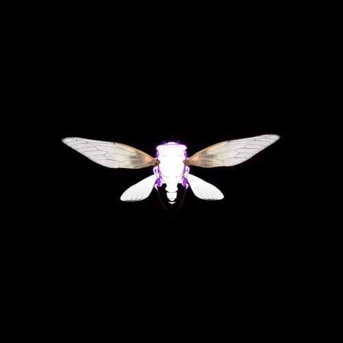 Cicadas #254