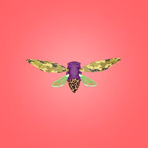 Cicadaspuzzleclub