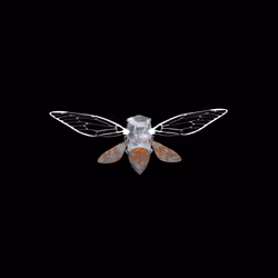 Cicadas #514