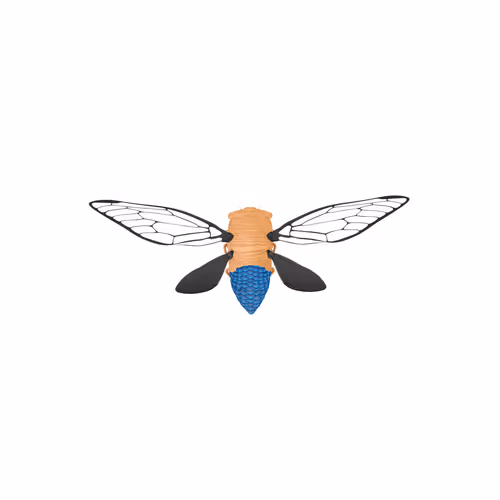 Cicadaspuzzleclub