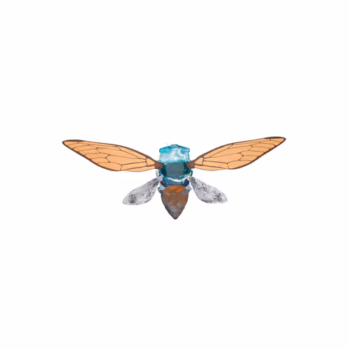 Cicadaspuzzleclub
