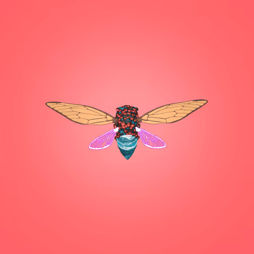 Cicadas #9364