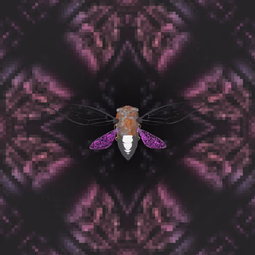Cicadas #8336