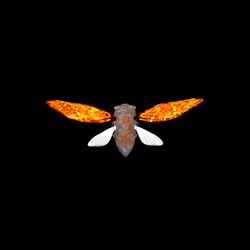 Cicadas #463