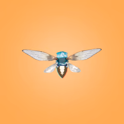 Cicadas #455