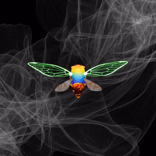 Cicadaspuzzleclub