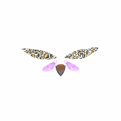 Cicadaspuzzleclub