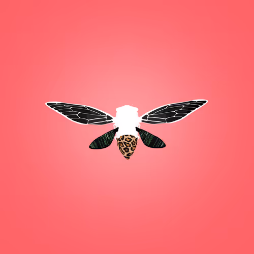 Cicadaspuzzleclub