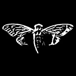 Cicadas