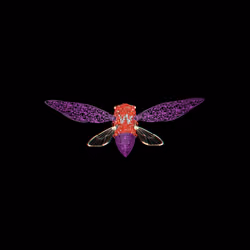 Cicadas #9261