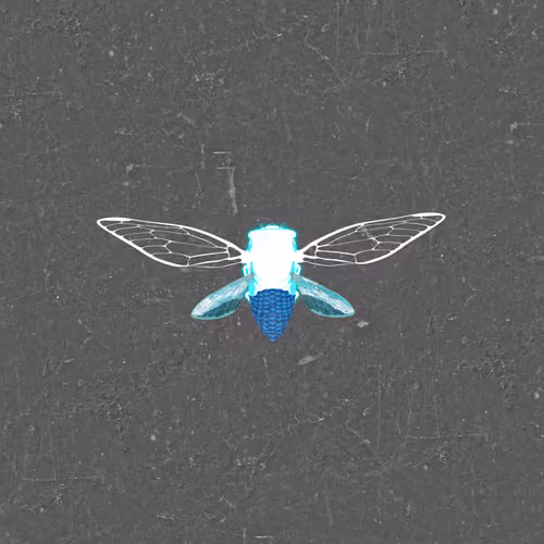 Cicadas #8552