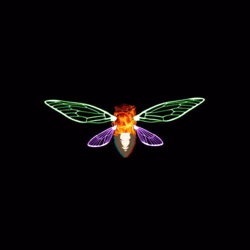 Cicadas #17