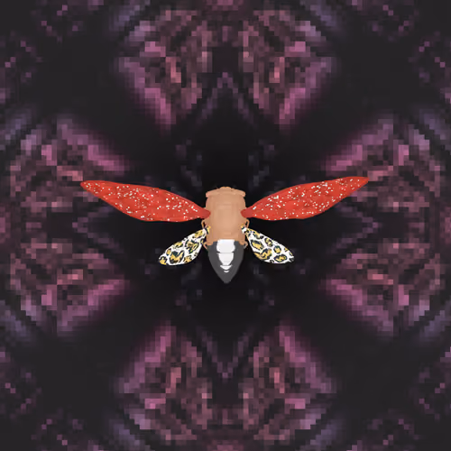 Cicadas #9542