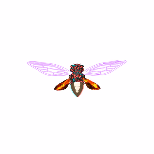 Cicadas #247
