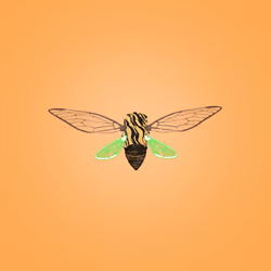 Cicadas #9614