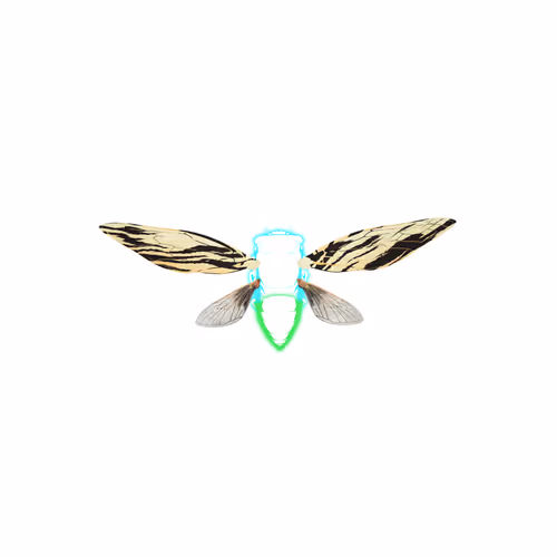 Cicadaspuzzleclub