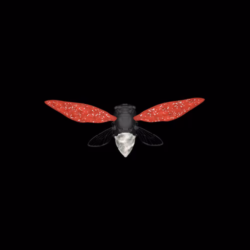 Cicadas #9625