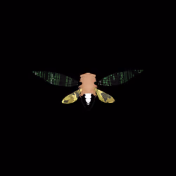 Cicadas #9340