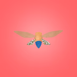 Cicadas #8478